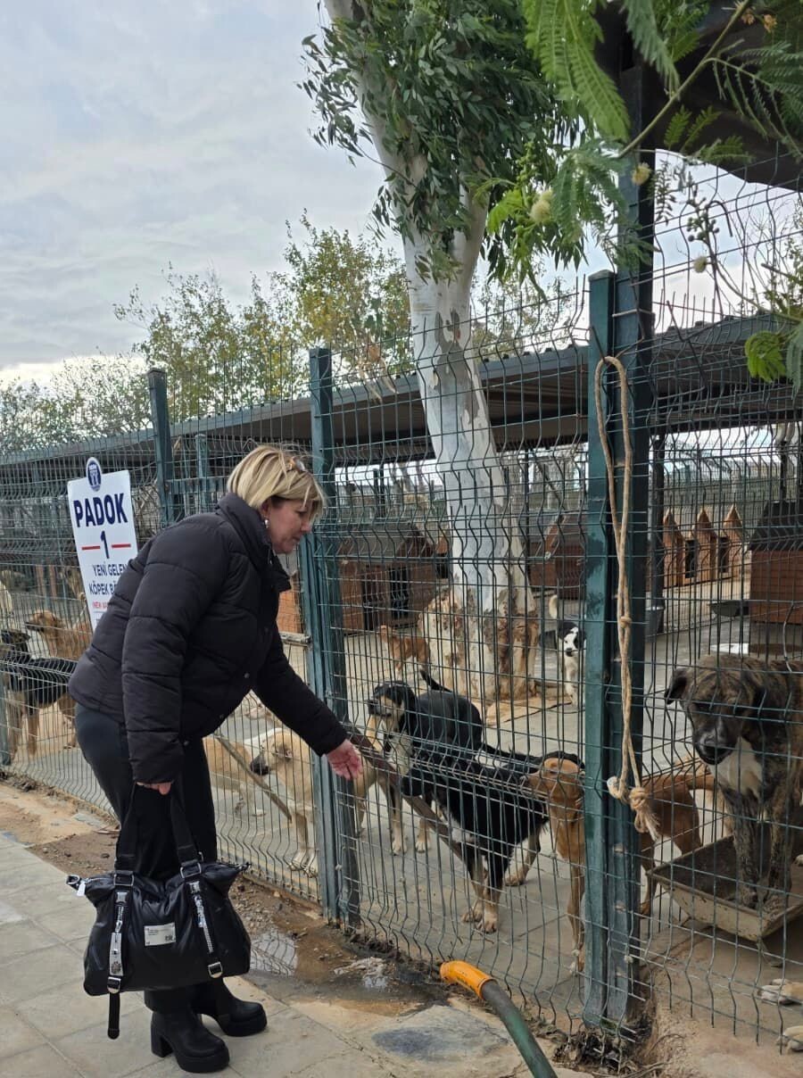 DİDİM BELEDİYESİ, SOKAK HAYVANLARININ KORUNMASI VE YAŞAM KOŞULLARININ İYİLEŞTİRİLMESİNE YÖNELİK...
