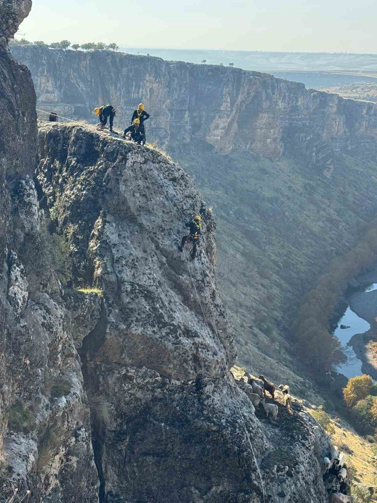 DİYARBAKIR'IN EĞİL İLÇESİNDE KAYALIKLARDA MAHSUR KALAN 25 KEÇİ, İTFAİYE EKİPLERİNCE KURTARILARAK...