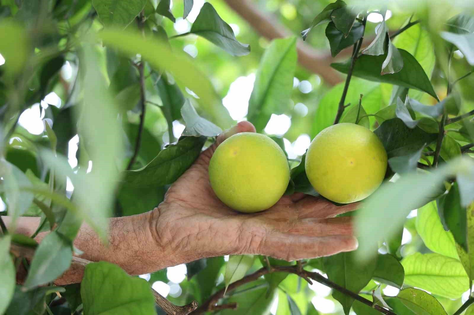 DİYARBAKIR’IN ÇÜNGÜŞ İLÇESİNDEKİ GEÇİT KÖYÜ, YANI BAŞINDA BULUNAN BARAJ HAVZALARI NEDENİYLE...