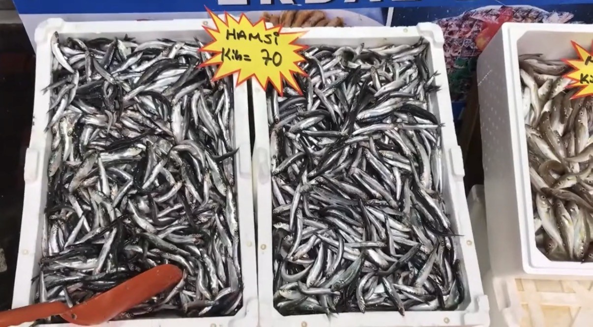 DÜZCE'DE DENİZDEN BALIĞIN AZ ÇIKMASI NEDENİYLE TEZGAHLAR ZAMAN ZAMAN BUZHANE VE HAVUZ BALIKLARIYLA...