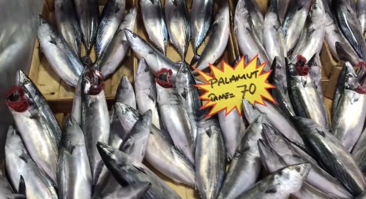 DÜZCE'DE DENİZDEN BALIĞIN AZ ÇIKMASI NEDENİYLE TEZGAHLAR ZAMAN ZAMAN BUZHANE VE HAVUZ BALIKLARIYLA...