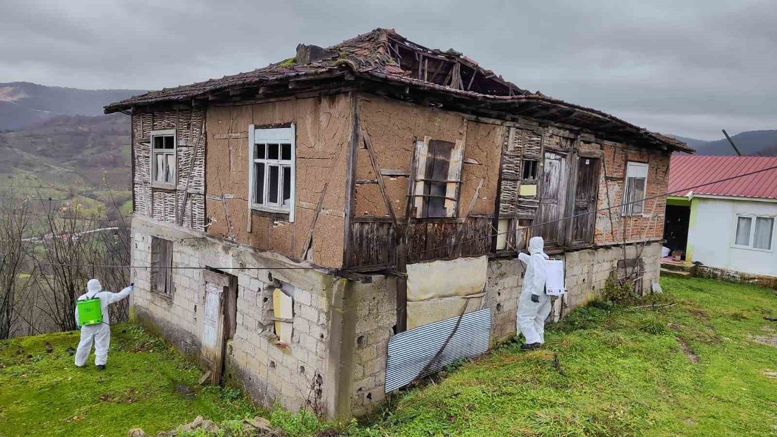DÜZCE’DE SON DÖNEMDE POPÜLASYONU ARTIŞ GÖSTEREN VE EVLERE KADAR GİRMEYE BAŞLAYAN, ÖZELLİKLE DE...