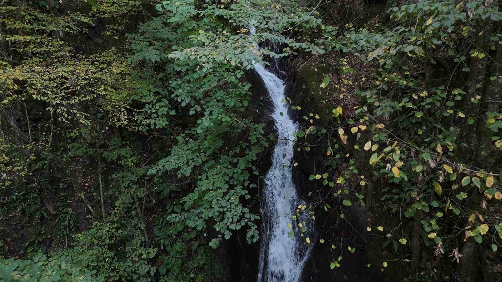 DÜZCE’NİN AYDINPINAR KÖYÜ’NDE BULUNAN VE AĞAÇLARIN ARASINDAN AKAN AYDINPINAR ŞELALESİ HEM YAZ HEM...