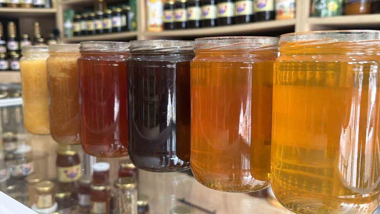 DÜZCE’NİN COĞRAFİ İŞARETLİ ÜRÜNLERİ ARASINDA YERİNİ ALAN KESTANE BALI SAĞIMI YAPILDI. 2025 YILI...