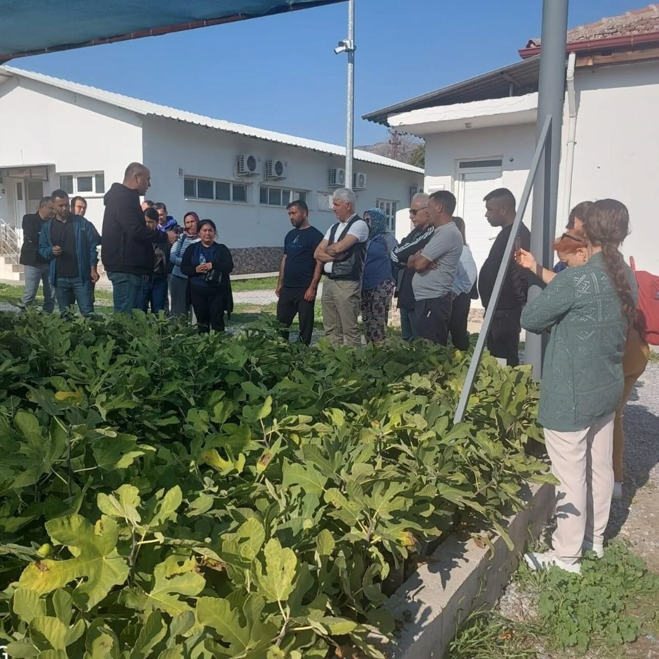 EDREMİT İLÇE TARIM VE ORMAN MÜDÜRLÜĞÜ, TARIM VE ORMAN BAKANLIĞI TARAFINDAN UYGULANAN İKLİM...