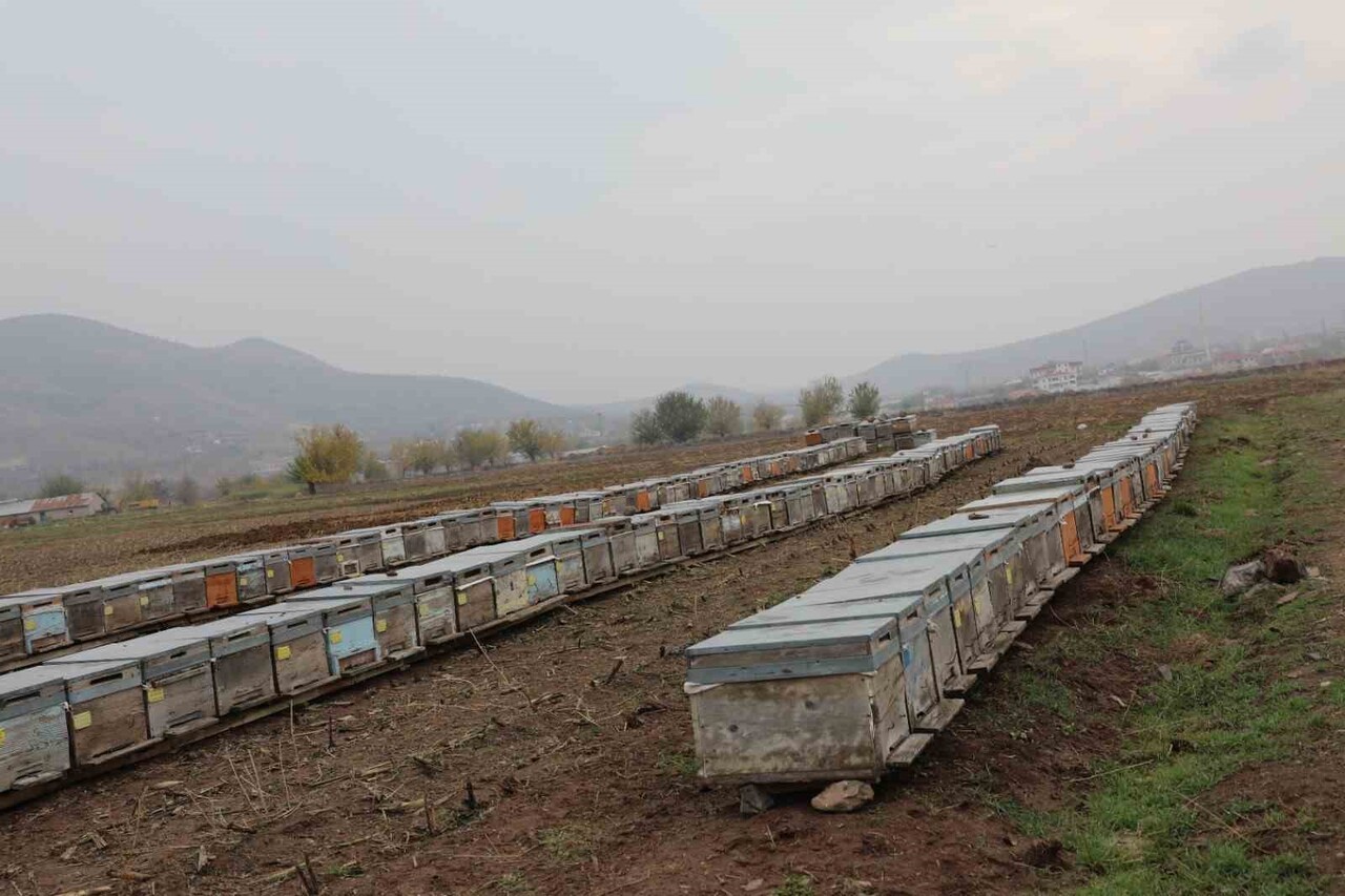 ELAZIĞ’IN YÜKSEK YAYLALARINDA ÜRETİLEN COĞRAFİ İŞARETLİ GEVEN BALI, ARICILARIN ÖZVERİLİ...