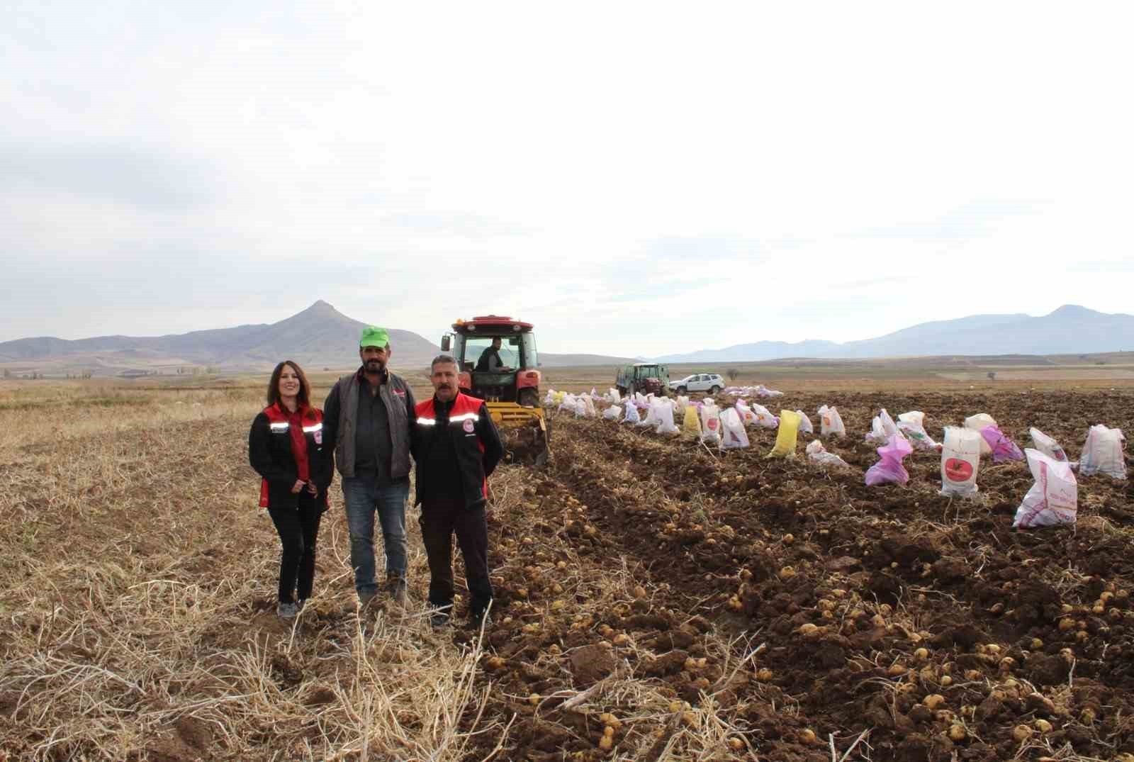 ERZİNCAN’IN TERCAN İLÇESİNDE KIŞLIK PATATES HASADI SÜRERKEN, KALİTELİ VE LEZZETLİ ÜRÜNLER TÜRKİYE...