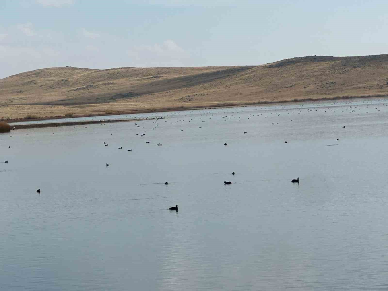 ERZURUM’UN KARAYAZI İLÇESİNE BAĞLI KÖYCEĞİZ GÖLETİ, SONBAHARIN YUMUŞAK HAVASINDA DOĞASEVERLERE...