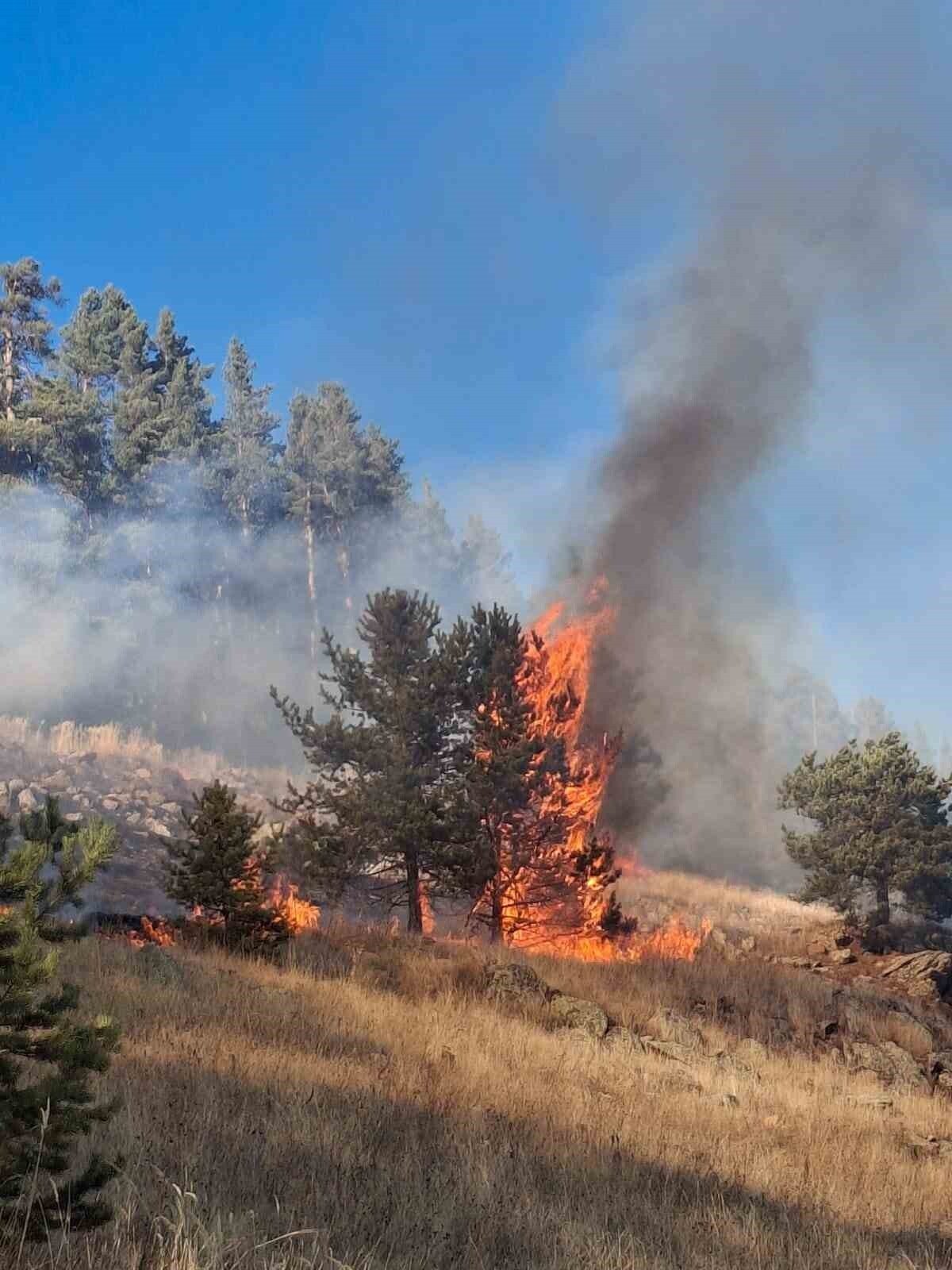ERZURUM’UN ŞENKAYA İLÇESİNDE 3 AYRI NOKTADA ÇIKAN ORMAN YANGININDAN İKİSİ KONTROL ALTINA...