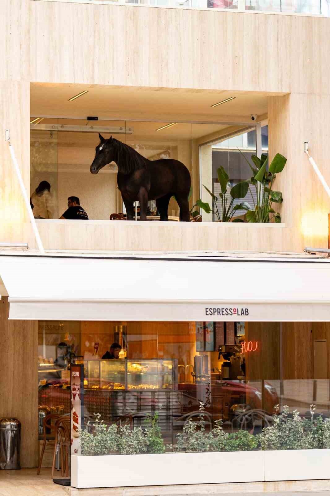 ESER, İLK DURAĞI OLAN BAĞDAT CADDESİ MAĞAZASINDA 19 KASIM İTİBARIYLA SERGİLENMEYE BAŞLAYARAK KAHVE...