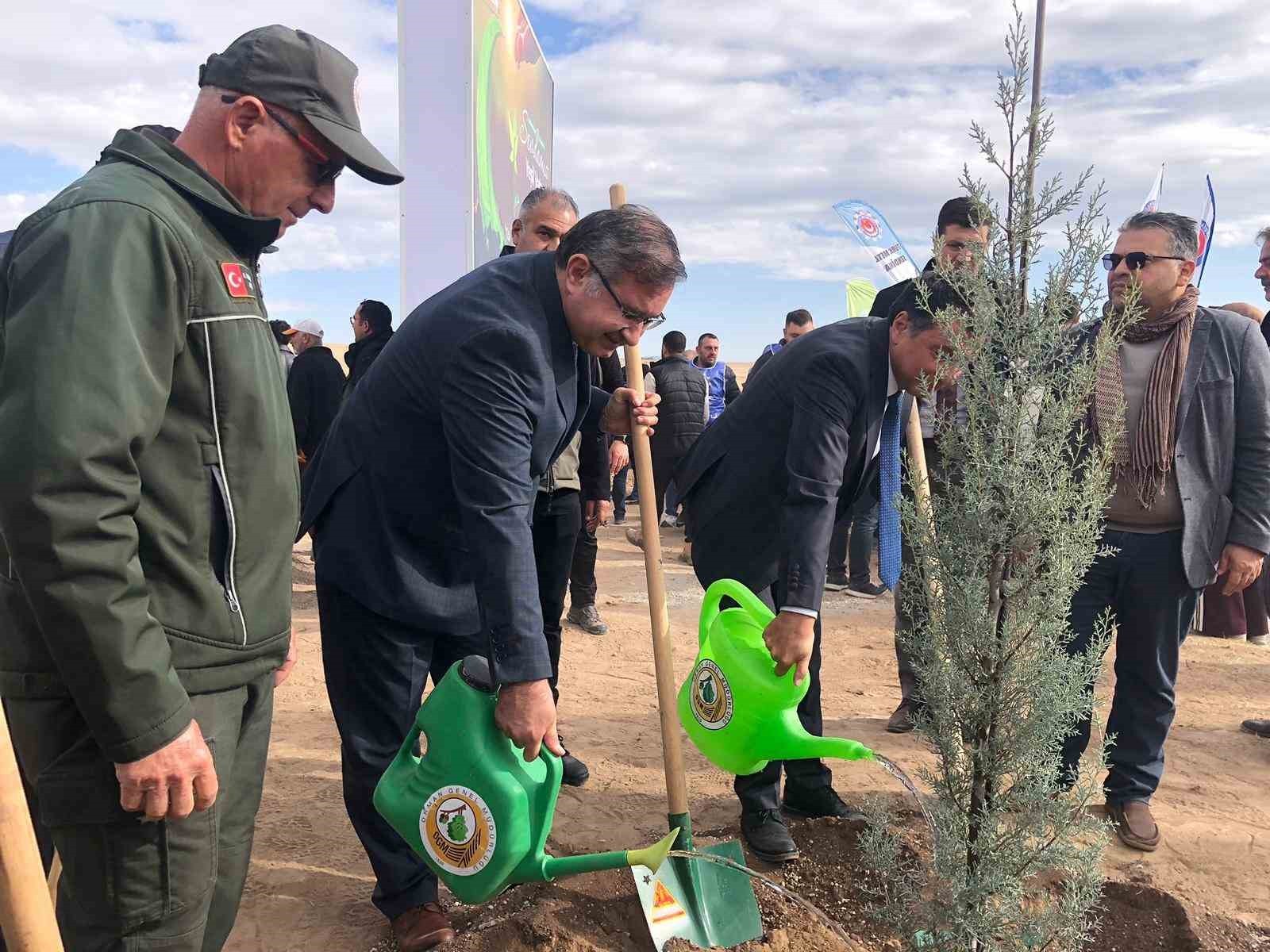 ESKİŞEHİR’DE 11 KASIM MİLLİ AĞAÇLANDIRMA GÜNÜ KAPSAMINDA 20 BİN FİDAN, PROTOKOL ÜYELERİ...