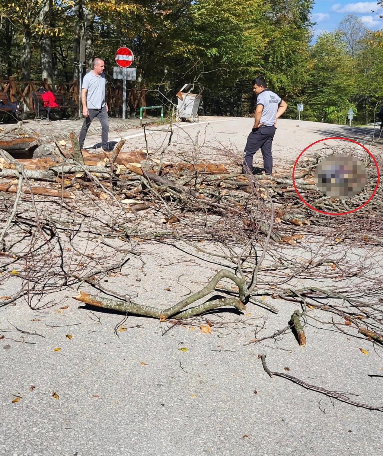 GEÇTİĞİMİZ HAFTA MUSTAFAKEMALPAŞA İLÇESİNİN SUUÇTU ŞELALESİ MESİRE ALANI'NDA MEYDANA GELEN...