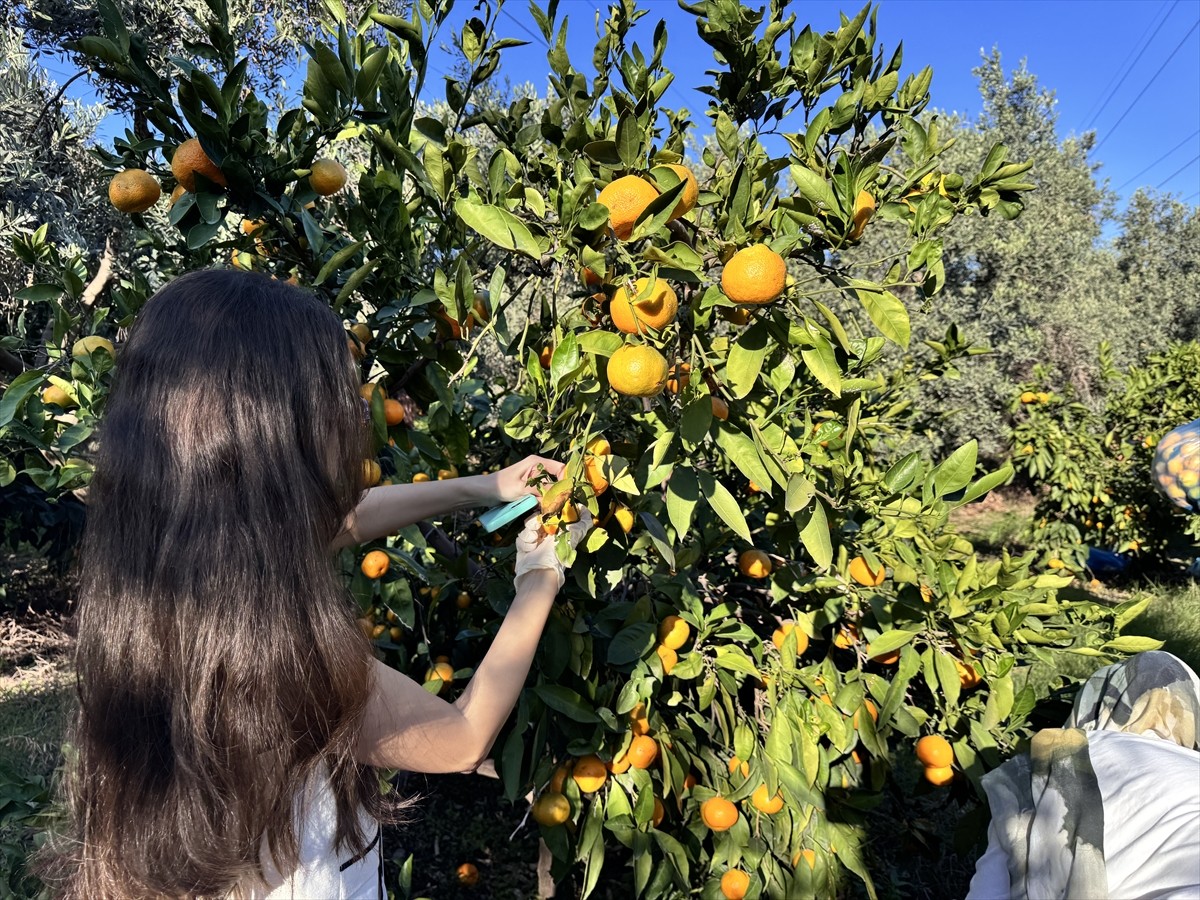 Gençlik ve Spor Bakanlığınca yürütülen "Anadoluyuz Biz" projesi kapsamında Hatay'ı ziyaret eden...