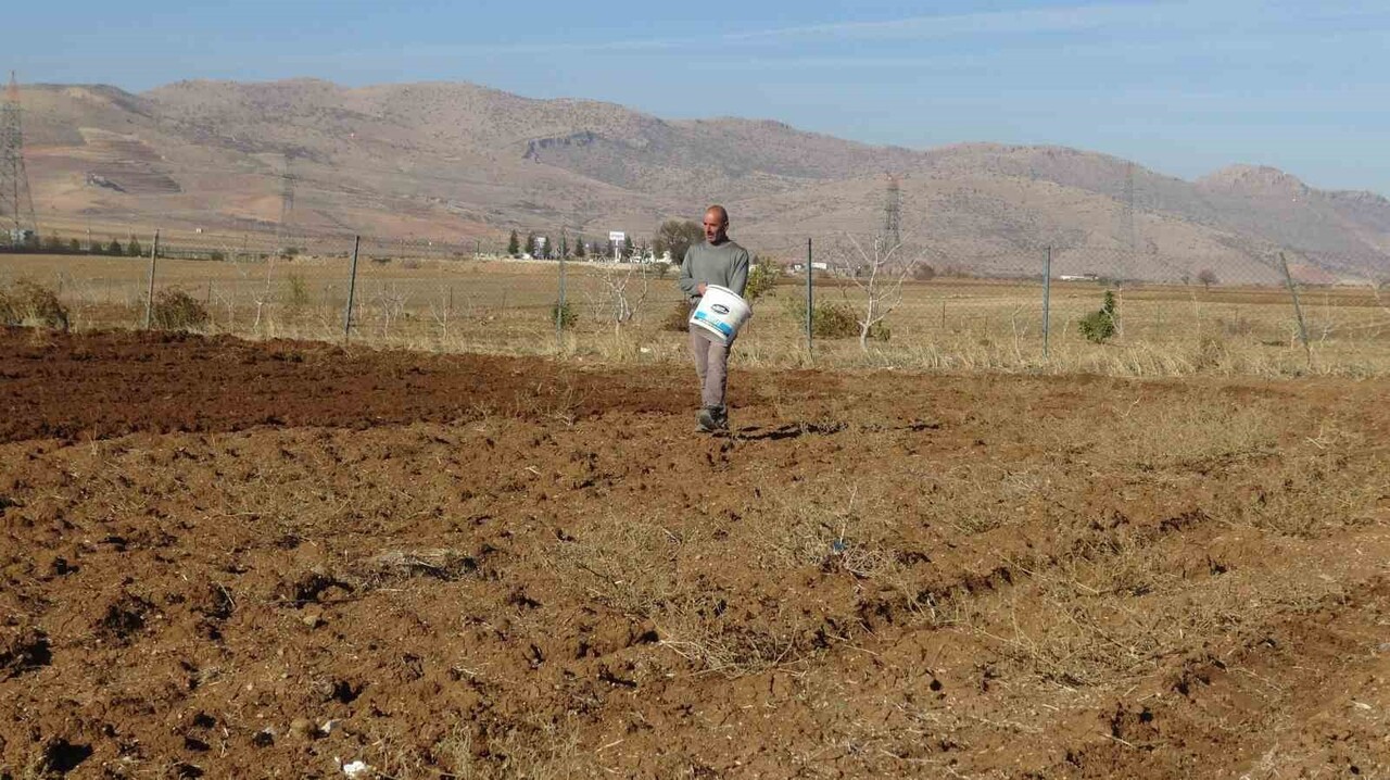 GERCÜŞ’TE ÇİFTÇİLER TOHUMLARINI TOPRAKLA BULUŞTURUYOR