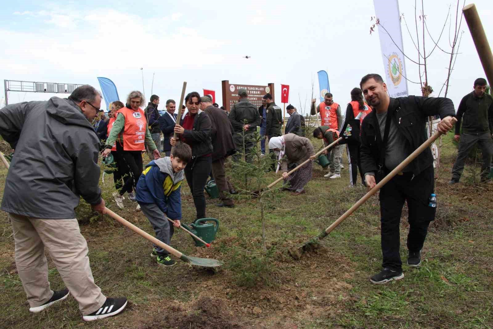 GERZE İLÇESİNDE, 11 KASIM MİLLİ AĞAÇLANDIRMA GÜNÜ KAPSAMINDA DÜZENLENEN ETKİNLİKTE, ORMAN...