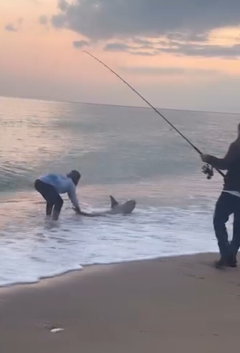 GÖRENLERİ ŞAŞKINA ÇEVİREN ANLAR, OLAY YERİNDEKİ DİĞER BALIKÇILAR TARAFINDAN CEP TELEFONU...