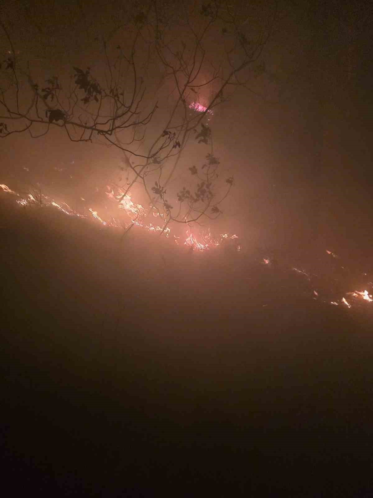HATAY’IN ARSUZ İLÇESİNDE YILDIRIMIN DÜŞTÜĞÜ ORMANLIK ALANDA YANGIN ÇIKTI. YANGINA ÇOK SAYIDA...