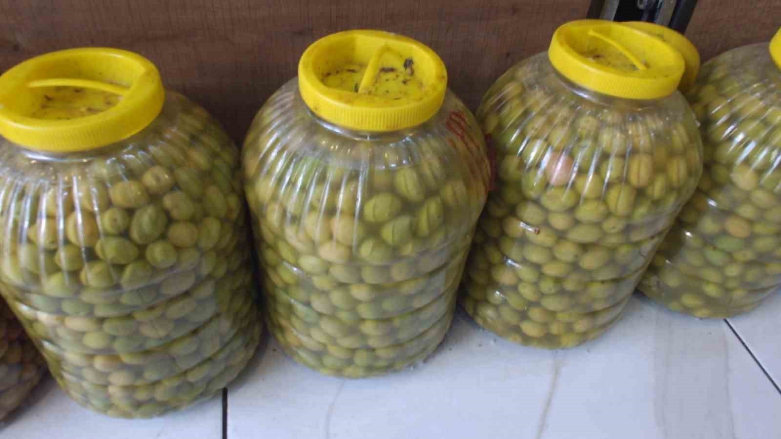 HAZIRLANAN ZEYTİNLER