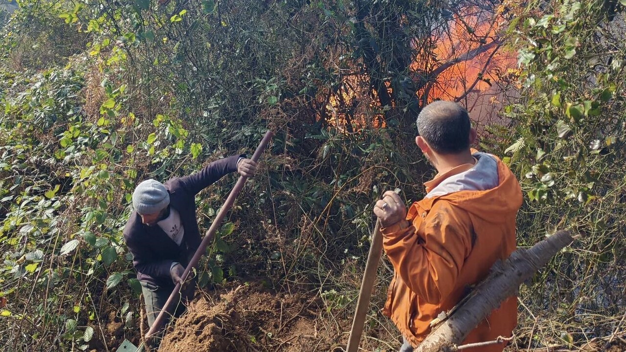 HOPA İLÇESİNDE SABAHA KARŞI BAŞLAYAN ORMAN YANGINI RÜZGARIN ETKİSİYLE BÜYÜYEREK GENİŞ BİR ALANA...