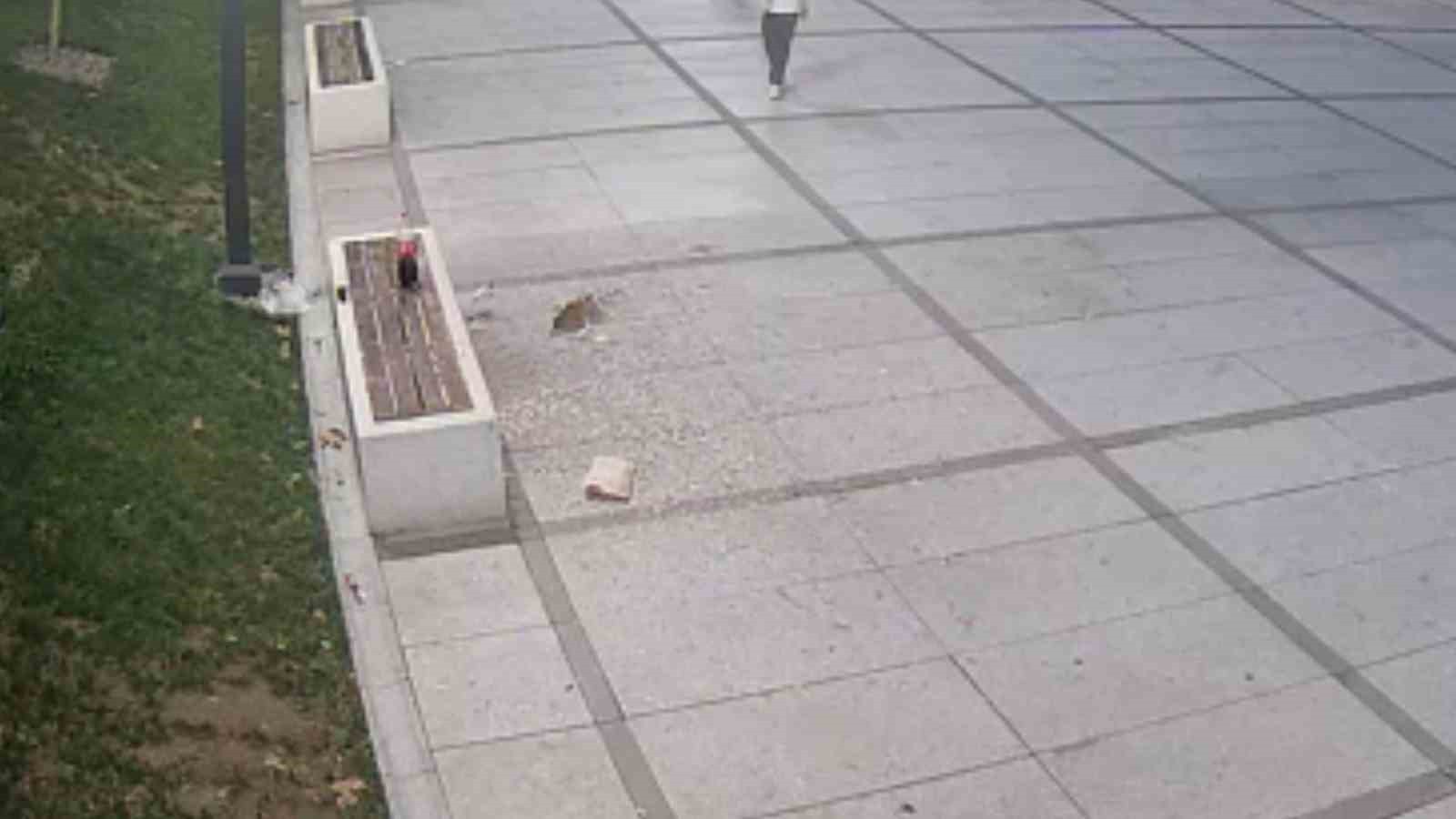 İNEGÖL BELEDİYESİ, KAMUSAL ALANDA ÇEKİRDEK YİYEREK ÇÖPLERİNİ YERE ATAN KİŞİLERİ İZLEME VE...