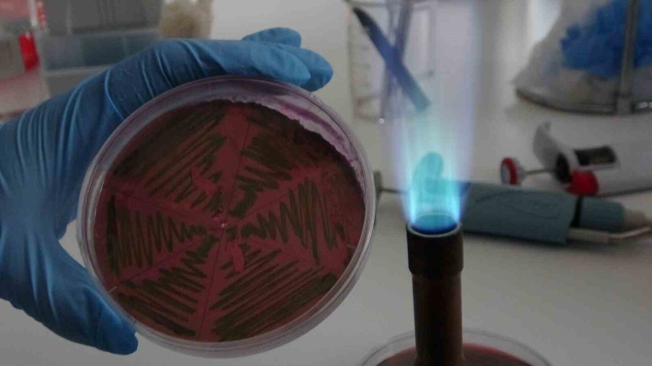 İNÖNÜ ÜNİVERSİTESİ FEN-EDEBİYAT FAKÜLTESİ BİYOTEKNOLOJİ ANABİLİM DALI TARAFINDAN ÇİĞ SÜT ÜZERİNE...