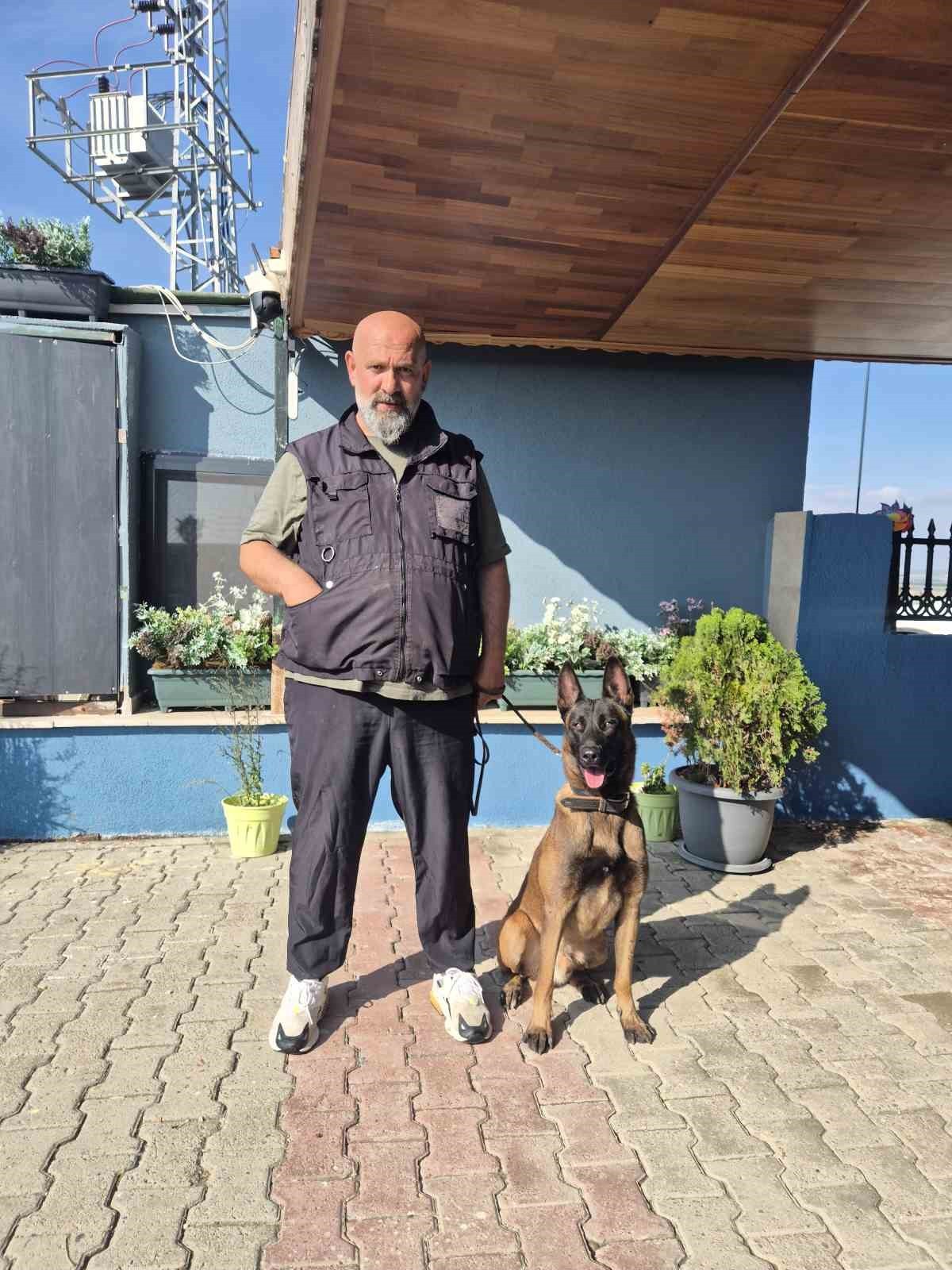 İSTANBUL SİLİVRİ'DE FAALİYET GÖSTEREN KÖPEK EĞİTMENİ EREN AY, "HER KÖPEK DOĞRU YÖNLENDİRMEYLE...