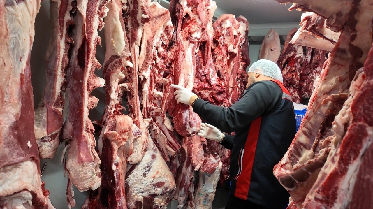 KADIKÖY İLÇE TARIM VE ORMAN MÜDÜRLÜĞÜ EKİPLERİ TARAFINDAN SON GÜNLERDE ARTAN GIDA ZEHİRLENMESİ...