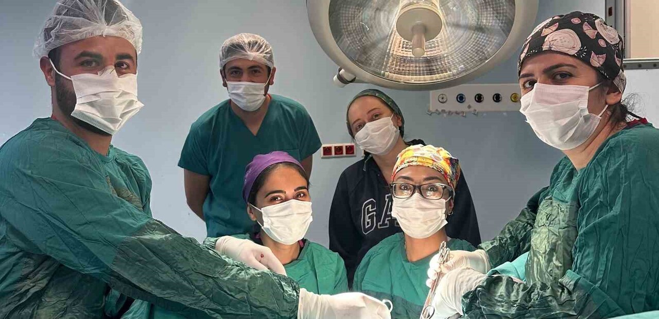 KAĞIZMAN DEVLET HASTANESİ’NDE KARIN KESİSİ AMELİYATI(KARS-İHA)