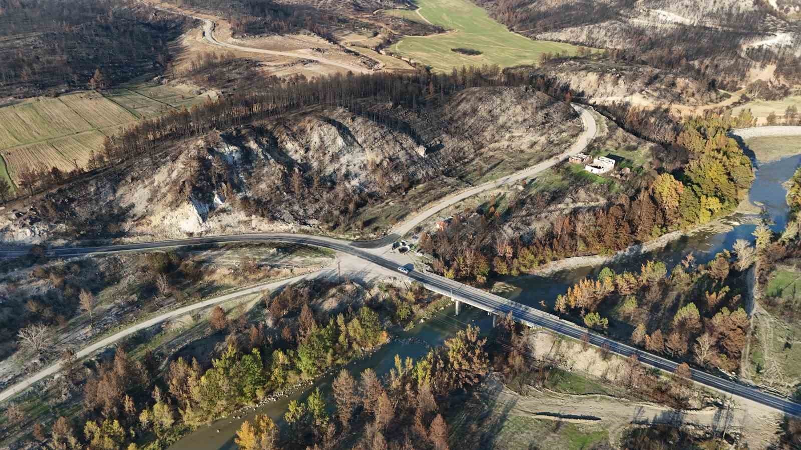 KARABÜK'TE YAZ AYLARINDA ÇIKAN ORMAN YANGINLARINDA ZARAR GÖREN AĞAÇLARLA, SONBAHARIN SARI VE KIZIL...