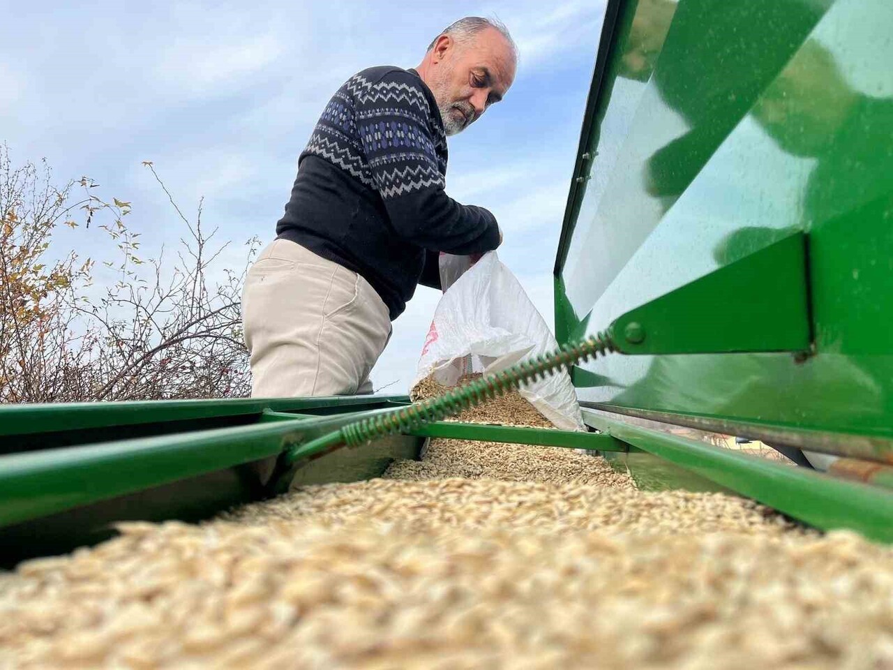 KASTAMONU’DA BUĞDAYIN ATASI OLARAK BİLİNEN 12 BİN YILLIK SİYEZ BUĞDAYI, ÇİFTÇİLER TARAFINDAN...