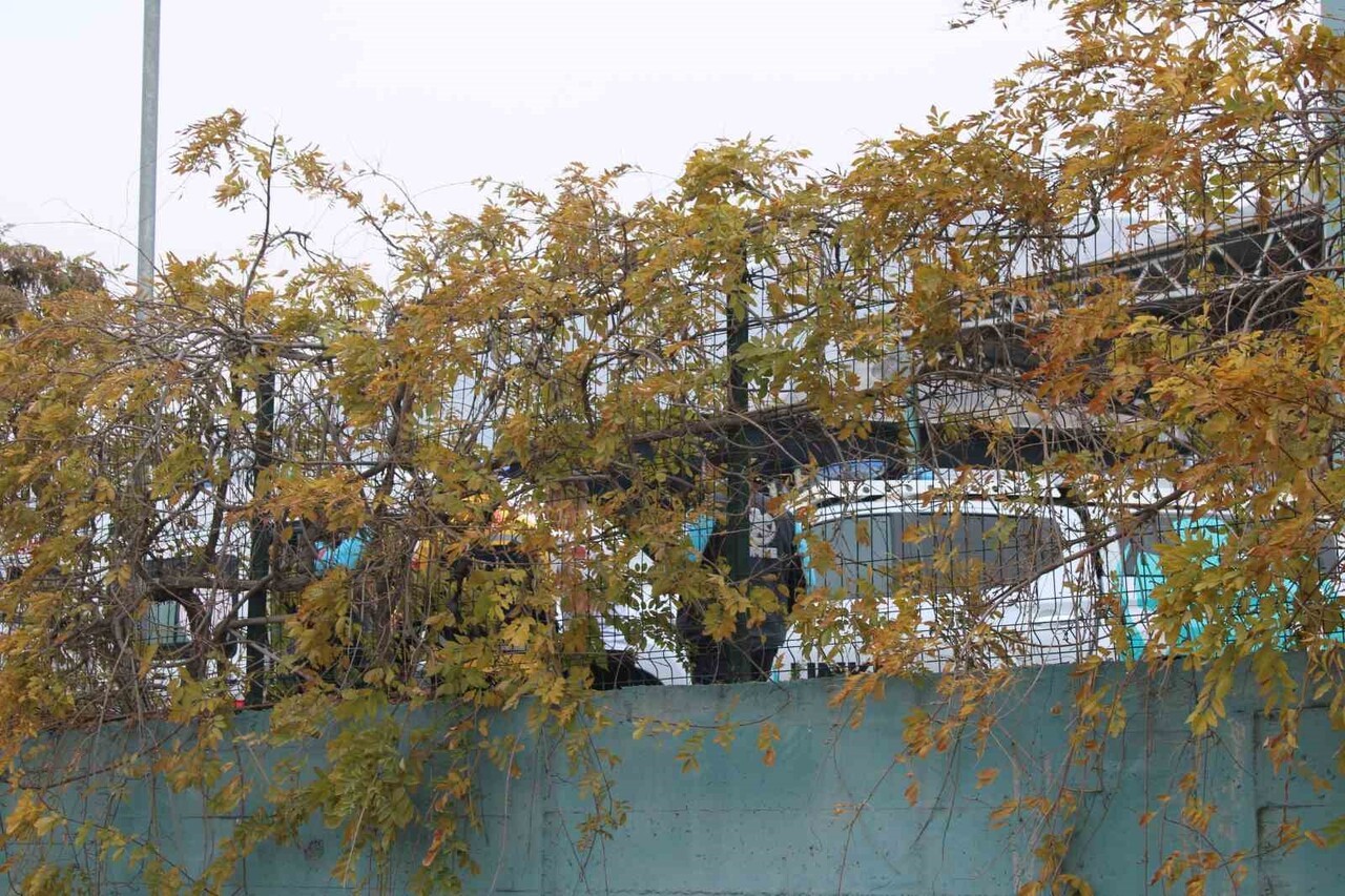 KAYSERİ'DE GERİ DÖNÜŞÜM EĞİTİM TESİSİ'NDEKİ KOKU EKİPLERİ HAREKETE GEÇİRDİ. OLAYDA ETKİLENEN...