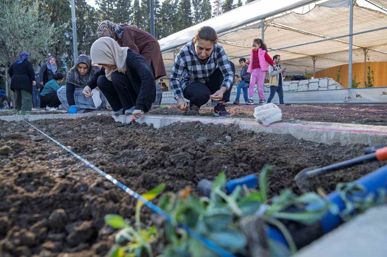 KENT GENELİNDE 254 KADIN, KENDİ ÜRETTİKLERİ ÜRÜNLERİ HASAT ETMEK İÇİN TOHUM VE FİDELERİ TOPRAKLA...