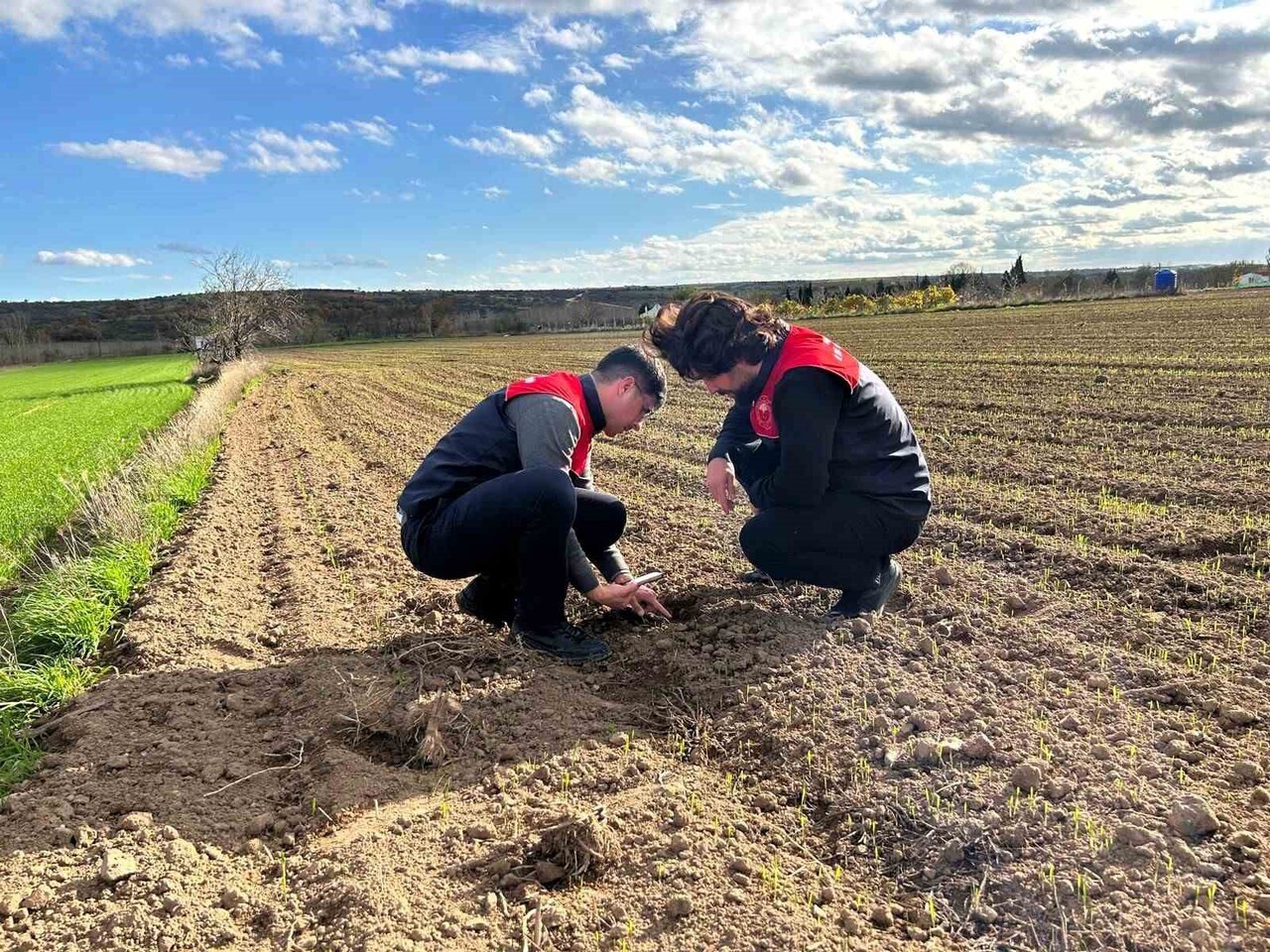 KIRKLARELİ TARIM VE ORMAN MÜDÜRLÜĞÜ TEKNİK EKİPLERİ,  "KALİTELİ KABA YEM ÜRETİMİNİN ARTTIRILMASI...