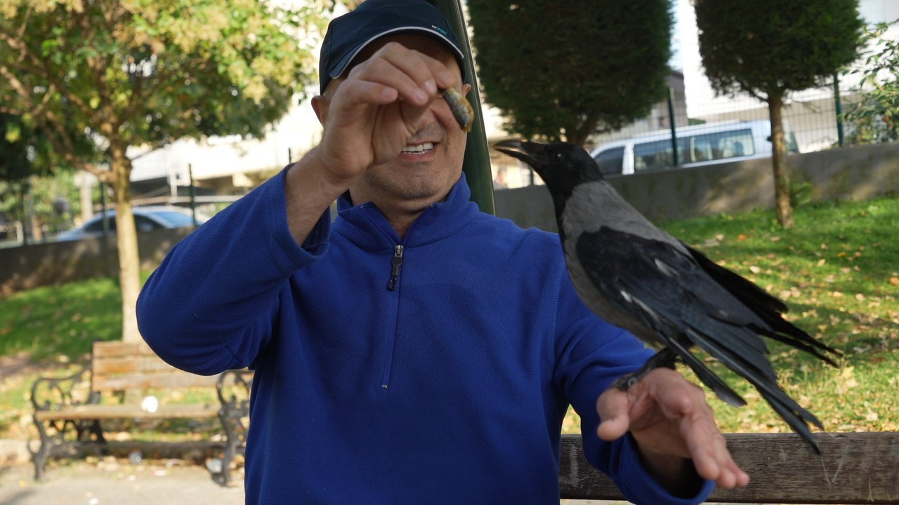 KOCAELİ'DE OTOBÜS KAPTANI ÖMER TEK, 2,5 YIL ÖNCE YARALI BULDUĞU VE "ŞAKİR" ADINI VERDİĞİ KARGAYI...