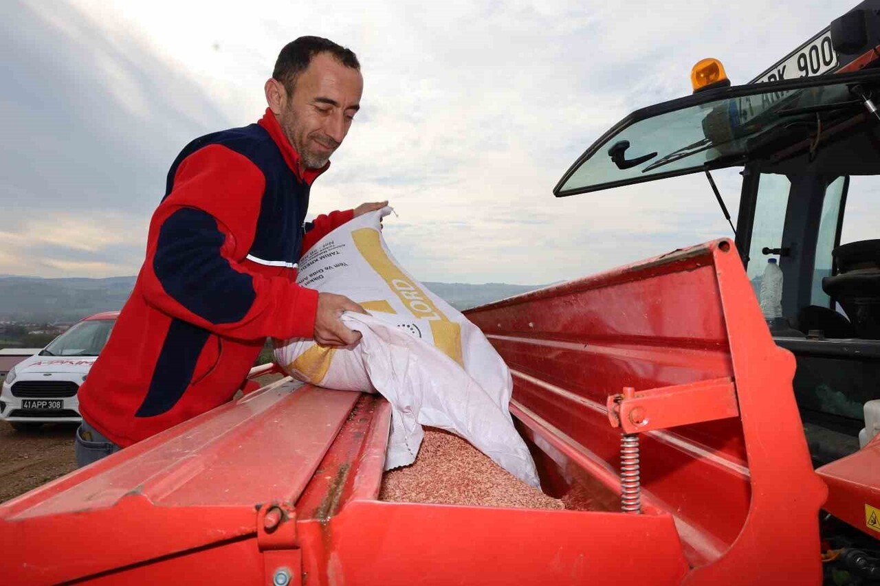 KOCAELİ BÜYÜKŞEHİR BELEDİYESİ TARAFINDAN SONBAHAR DÖNEMİNDE YÜZDE 75 HİBE İLE DAĞITILAN ARPA, SÜT...