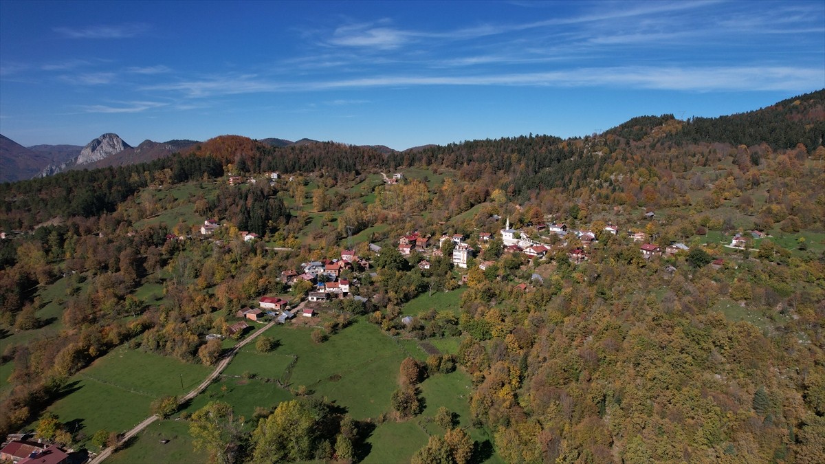 Küre Dağları Milli Parkı'nda yer alan Kastamonu'nun Küre ilçesindeki Ersizlerdere Kanyonu Tabiat...