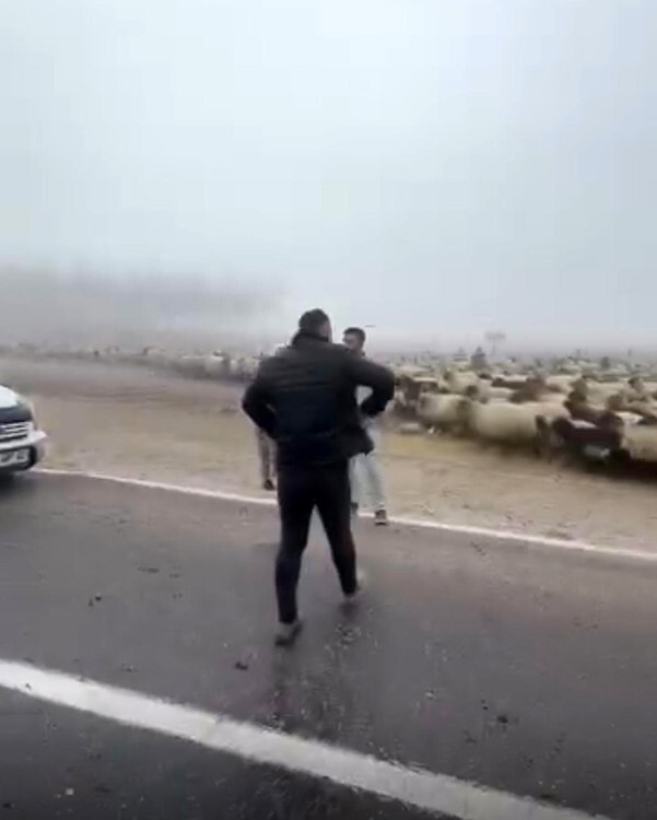 KURTALAN İLÇESİNDE SİS NEDENİYLE GÖRÜŞ MESAFESİNİN DÜŞTÜĞÜ YOLDA SEYİR HALİNDEKİ ARAÇ KOYUN...