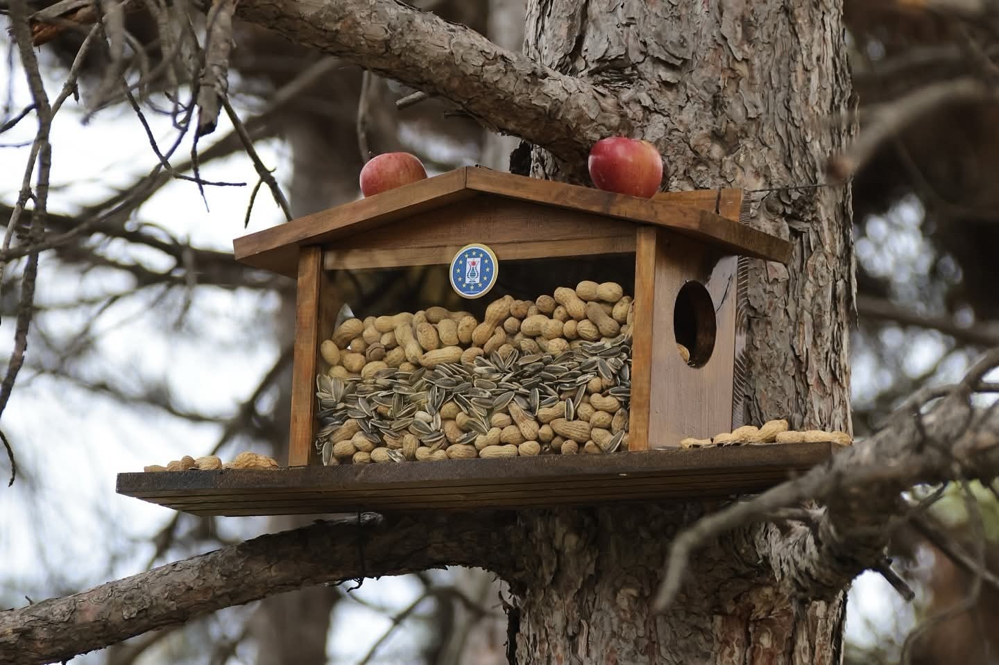 KÜTAHYA BELEDİYESİ’NDEN SİNCAP VE KUŞLARA KIŞ ESTEĞİ