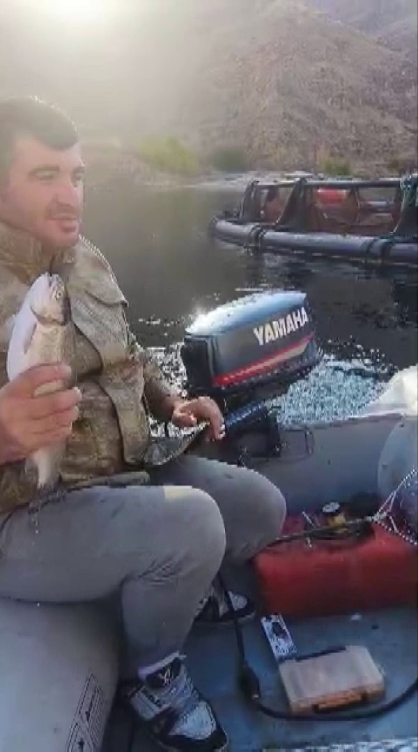 MALATYA'NIN ARAPGİR İLÇESİNDE GÖLETTE AVLANAN AMATÖR BALIKÇI YAKALADIĞI BALIĞI, BÖLGEDE AÇ OLDUĞU...