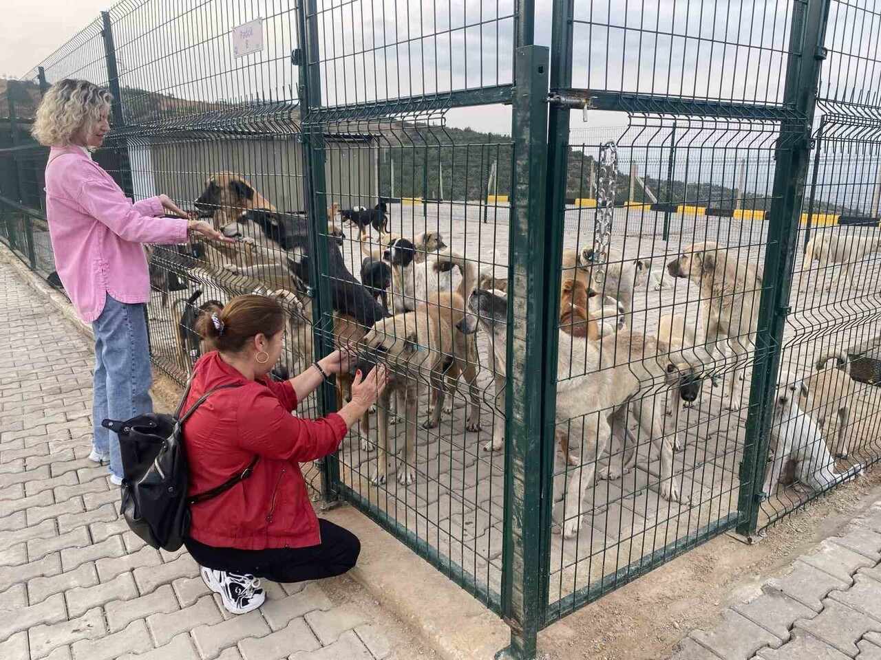 MANİSA'NIN ALAŞEHİR İLÇESİ EVRENLİ MAHALLESİ’NDE 30 DÖNÜMLÜK ALANDA ALAŞEHİR BELEDİYESİ TARAFINDAN...