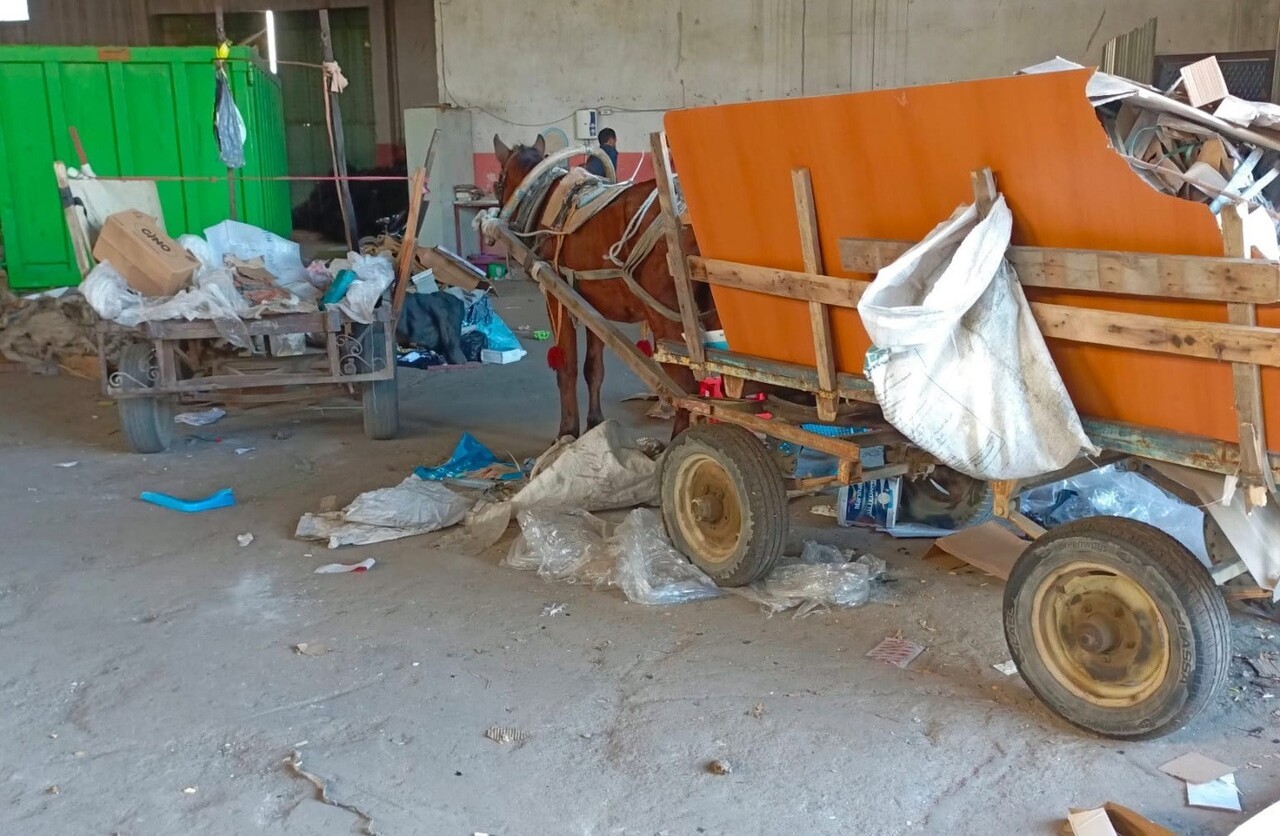 MANİSA’NIN SALİHLİ İLÇESİNDE POLİS VE ZABITA, AT ARABALI HIRSIZLIK OLAYLARINA KARŞI BAŞLATTIĞI...