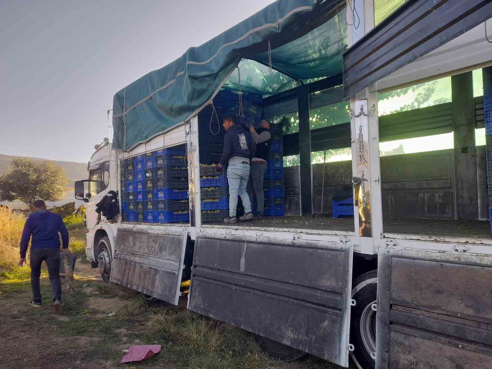 MANİSA’NIN SARIGÖL İLÇESİNDE YAŞ ÜZÜM KESİM ÇALIŞMALARI ARALIKSIZ SÜRÜYOR. ÜZÜMÜN BAŞKENTİ OLARAK...