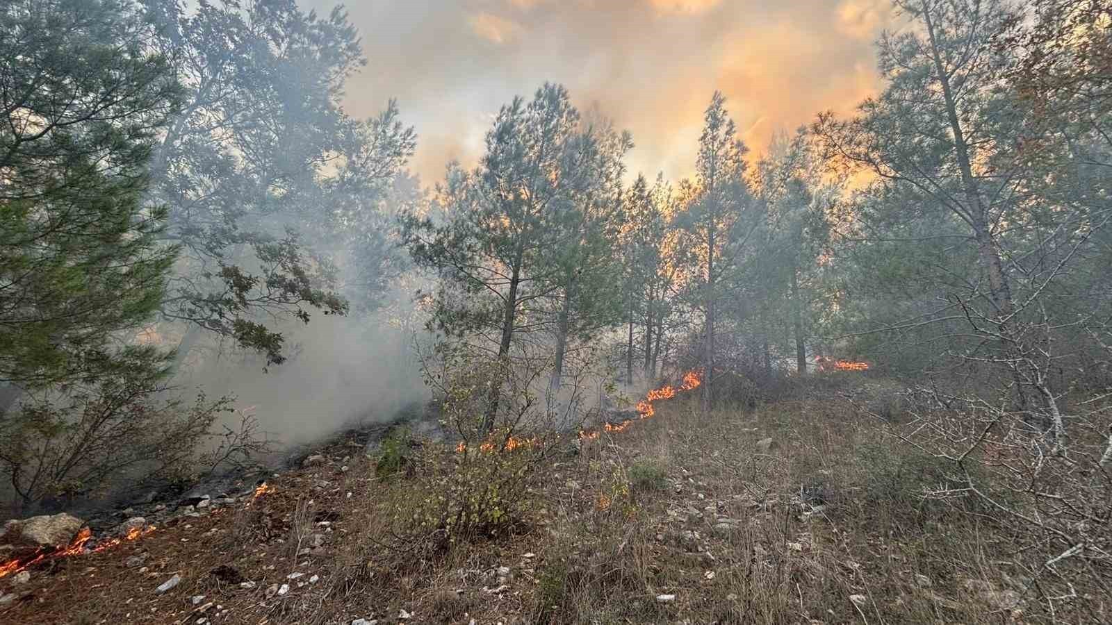 MERSİN'İN BOZYAZI İLÇESİNDE ÇIKAN ORMAN YANGINI, EKİPLERİN MÜDAHALESİYLE KONTROL ALTINA...