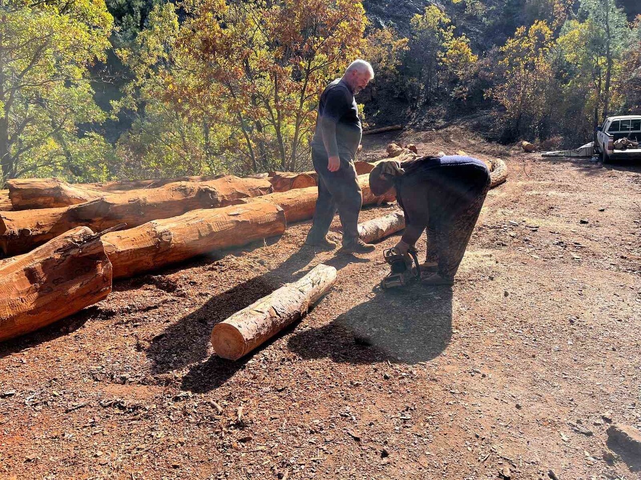 MERSİN'İN BOZYAZI İLÇESİNDEN ANTALYA'NIN AKSEKİ İLÇESİNE GELEN VE ORMAN KESİM İŞİNİ 40 YILDIR...