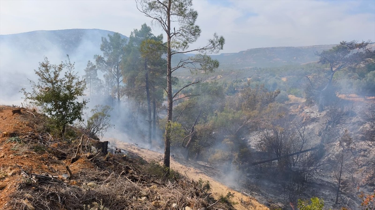 Mersin'in Gülnar ilçesinde yabani otları temizlemek için bahçede ateş yakan kişi, büyüyen yangında...