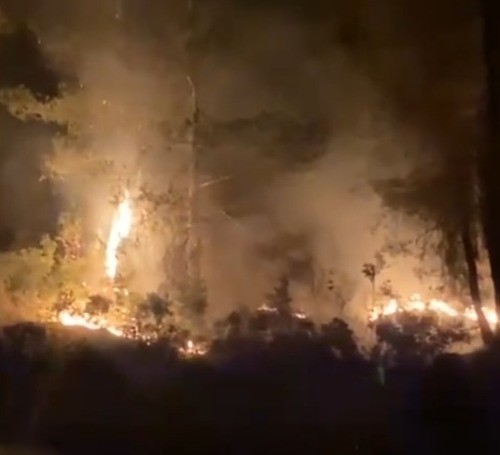 MUĞLA'NIN KAVAKLIDERE İLÇESİNDE ÇIKAN ORMAN YANGINI, EKİPLERİN HIZLI MÜDAHALESİYLE BÜYÜMEDEN...