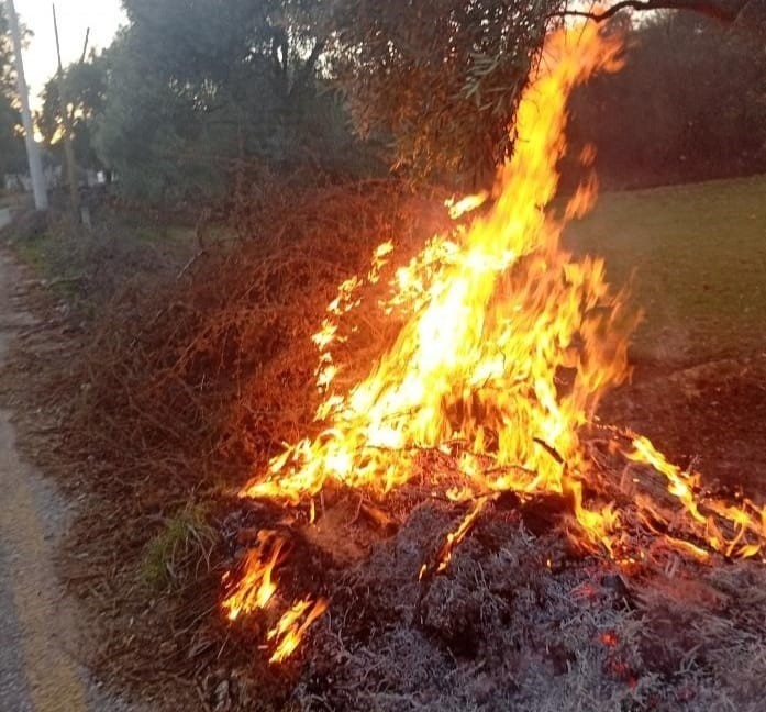 MUĞLA'NIN MİLAS İLÇESİNDE AKŞAM SAATLERİNDE İKİ AYRI NOKTADA ÇIKAN ORMAN YANGINLARI EKİPLERİN...