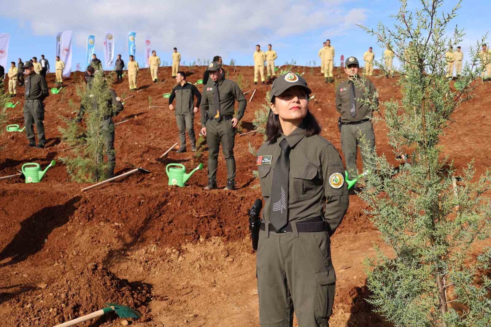 MUĞLA’DA 33 BİN FİDAN TOPRAK İLE BULUŞTU