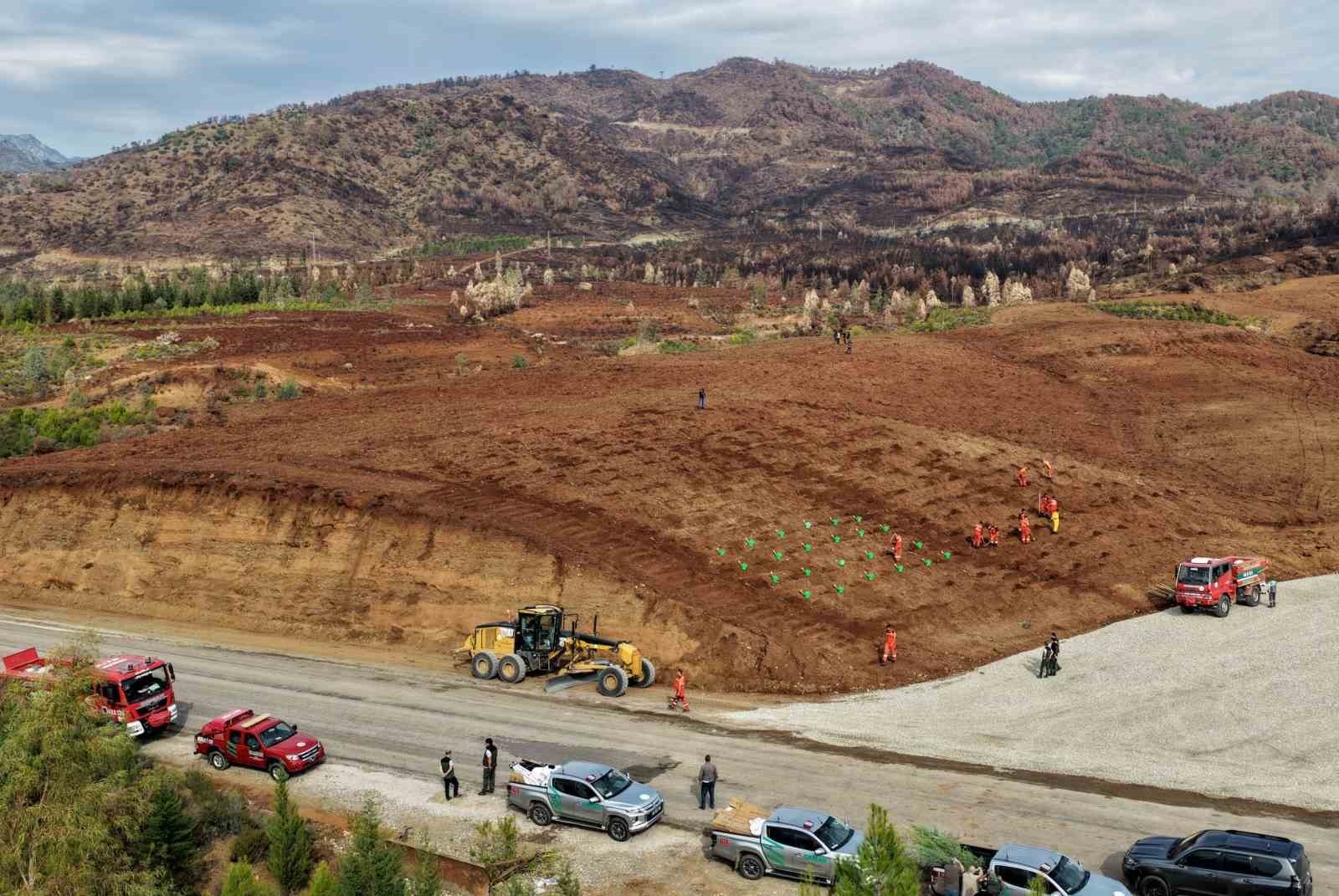 MUĞLA ORMAN BÖLGE MÜDÜRLÜĞÜNDE 11 KASIM MİLLİ AĞAÇLANDIRMA GÜNÜNDE 30 AYRI NOKTADA FİDAN DİKİM...