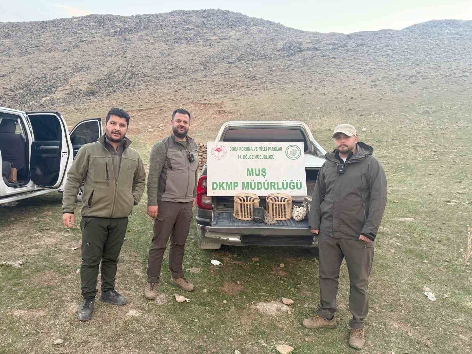 MUŞ’TA YASA DIŞI KAFES AVCILIĞI YAPAN KİŞİ DKMP EKİPLERİNCE SUÇÜSTÜ YAKALANDI. ŞAHSA TOPLAM 20 BİN...